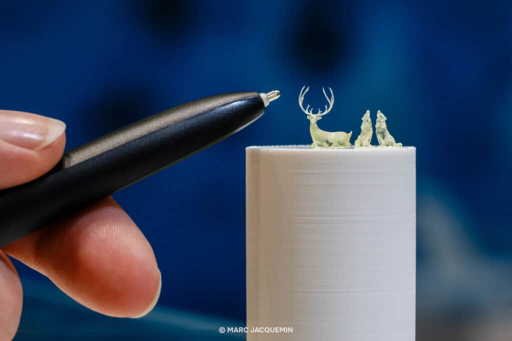 Copyright © Marc Jacquemin | www.marcjacquemin.com